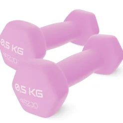 Hantelki żeliwne do ćwiczeń Classic 2 x 0,5 kg